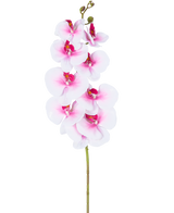 De Kunst Orchidee Real Touch Deluxe 105 cm roze/wit heeft een enkele roze kunst phalaenopsis steel met witte accenten, realistische zijden bloemen en knoppen, allemaal elegant weergegeven op een witte achtergrond.