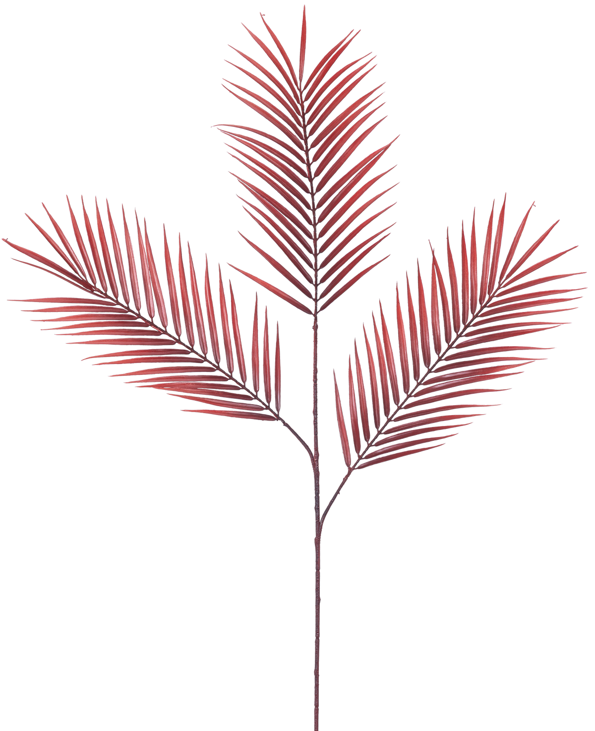 La Fougère Branche Artificielle 100 cm rouge possède cinq feuilles de palmier rouges longues et étroites s'étendant à partir d'une seule tige, sur un fond blanc uni.