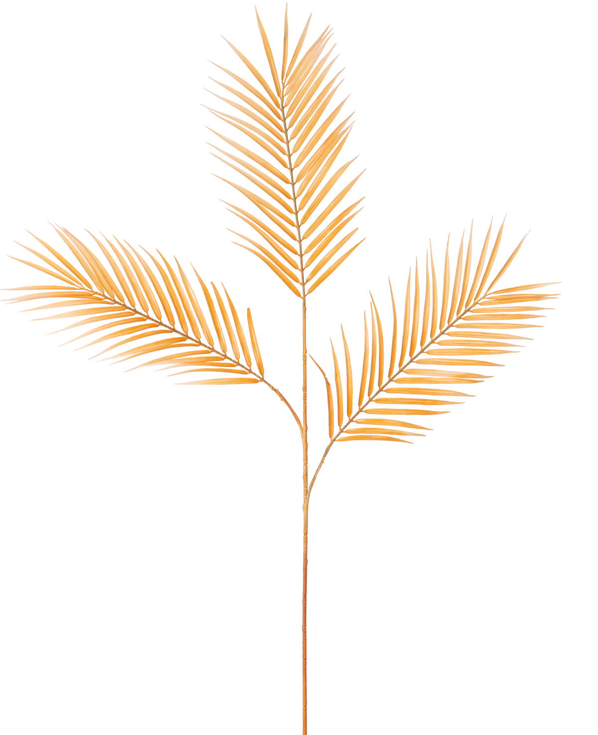 La Fougère Branche Artificielle 100 cm ocre possède une seule tige de feuille de palmier séchée avec trois branches, chacune décorée de feuilles étroites et pointues brun doré sur un fond blanc uni.