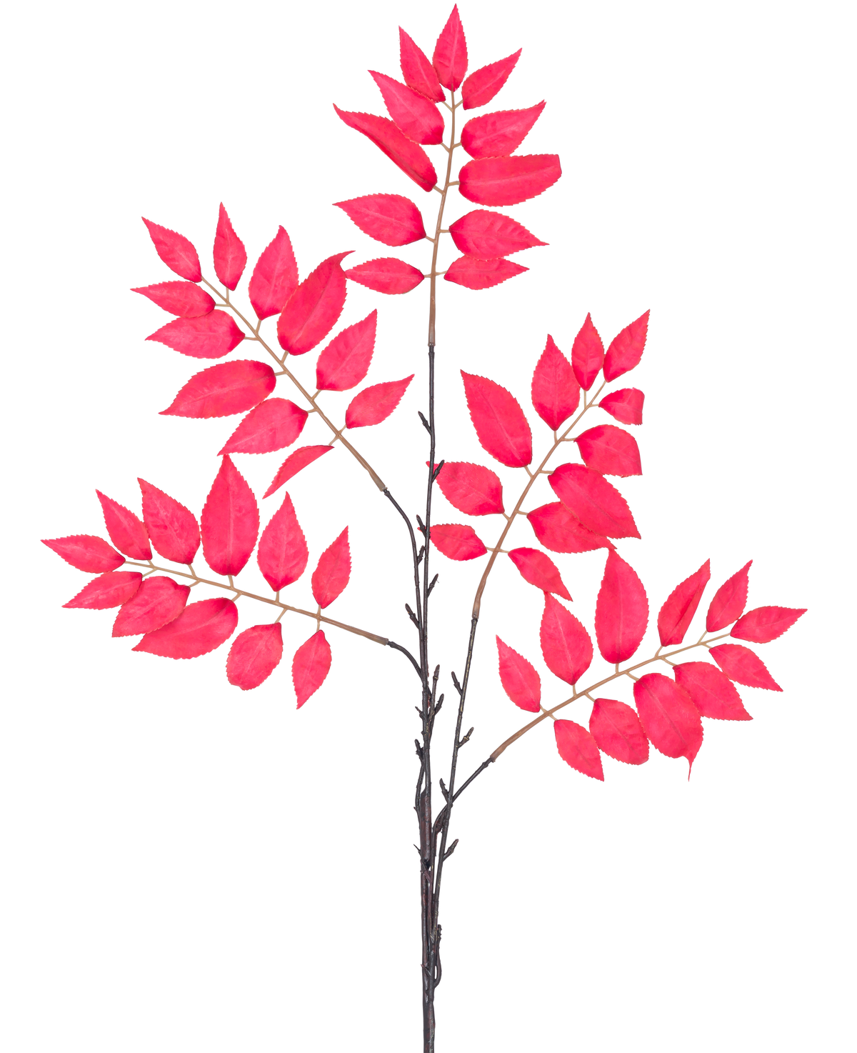 La Fougère artificielle ramifiée de 83 cm rouge possède un certain nombre de tiges fines avec des grappes de feuilles rouge vif, toutes disposées symétriquement sur un fond blanc.