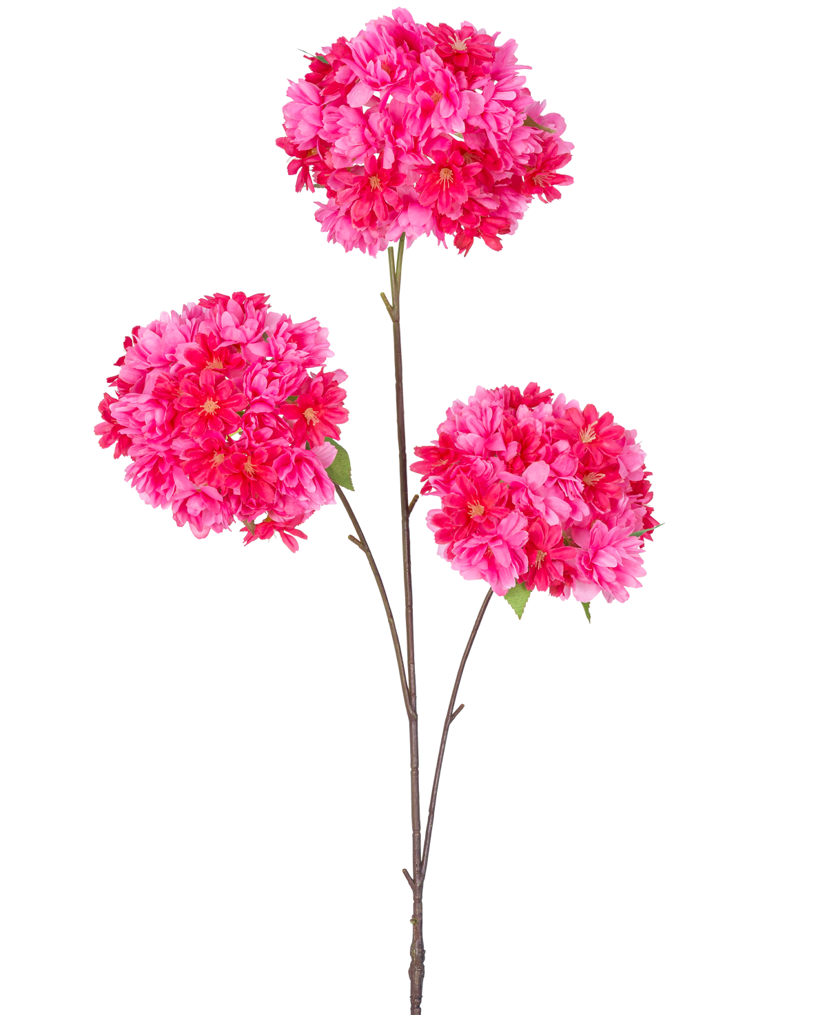 La Branche Artificielle Fleur de Cerisier 85 cm rose a une seule tige avec trois bouquets de fleurs de cerisier artificielles rose vif et des feuilles vertes sur de fines branches brunes, isolées sur un fond blanc.