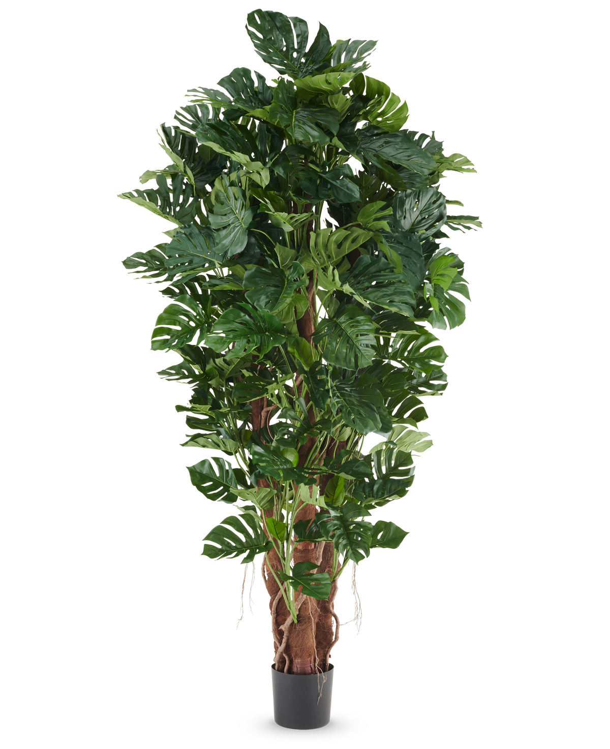 Plante artificielle Philodendron de 230 cm avec de grandes feuilles vertes brillantes dans un pot noir, présentée sur un fond blanc uni.