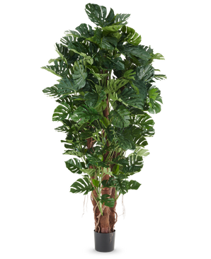 Plante artificielle Philodendron de 230 cm avec de grandes feuilles vertes brillantes dans un pot noir, présentée sur un fond blanc uni.
