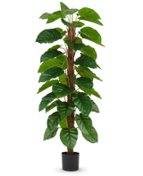 La plante artificielle Epipremnum aureum 180 cm a de grandes feuilles vertes brillantes disposées le long d'une tige centrale brune et est présentée dans un petit pot noir, représenté sur un fond blanc uni.
