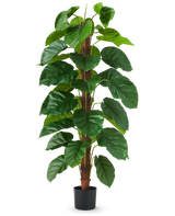 La Plante Artificielle Epipremnum aureum 150 cm est une grande plante artificielle aux grandes feuilles vertes brillantes, présentée dans un pot noir sur un fond uni blanc.