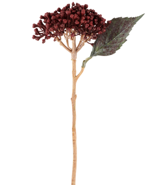 Une seule fleur artificielle d'hortensia séchée de couleur rouge bordeaux, d'une longueur de 38 cm, avec des pétales séchés rouge-brun, une grappe de petits bourgeons et une feuille verte sur une tige longue et mince, est représentée sur un fond blanc.