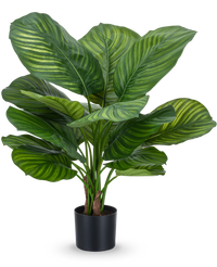 Plante artificielle Calathea Fasciata 53 cm en pot