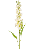 De Kunstbloem Aziatische appel 84 cm crème heeft een lange steel met meerdere delicate crèmekleurige bloemen en lange, smalle groene bladeren tegen een effen witte achtergrond.