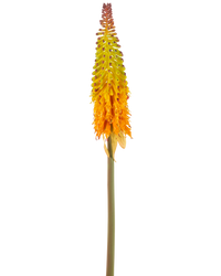Fleur artificielle Lys torche 80 cm Vert/jaune