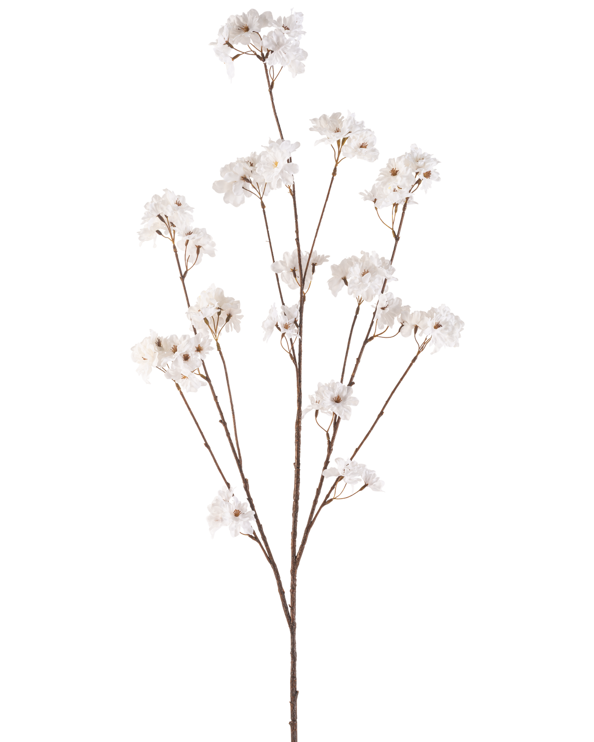 La Fleur de Cerisier Artificielle 130 cm crème possède une seule tige marron qui se ramifie en plusieurs tiges fines, chacune décorée de bouquets de petites et délicates fleurs de cerisier crème sur un fond blanc uni.