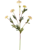 De Kunstbloem Pompon chrysant 69 cm crème/roze heeft een enkele steel met meerdere crèmeroze, margrietachtige bloemen en groene, varenvormige bladeren tegen een effen witte achtergrond.