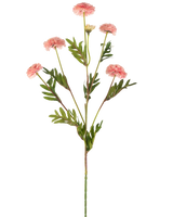 De Kunstbloem Pomponchrysant 69 cm roze heeft een enkele steel met meerdere lichtroze, ronde pomponbloemen en groene, varenachtige bladeren tegen een witte achtergrond.