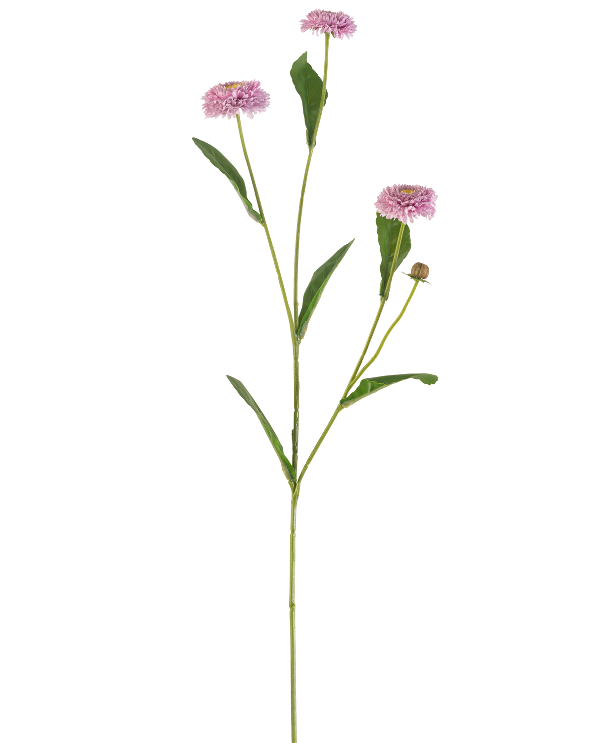 La fleur artificielle Summer Aster 57 cm mauve a une longue tige verte mince avec trois fleurs mauves ressemblant à des marguerites et des feuilles vertes allongées qui se ramifient, le tout sur un fond blanc uni.