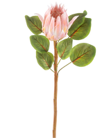 De Kunstbloem Protea 65 cm roze is een enkele kunstroze protea bloem met grote groene bladeren en een lange bruine steel, tegen een effen witte achtergrond.