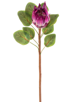 De Kunstbloem Protea 65 cm paars heeft een enkele kunstmatige paarse protea bloem met groene bladeren en een lange bruine steel, tegen een witte achtergrond.