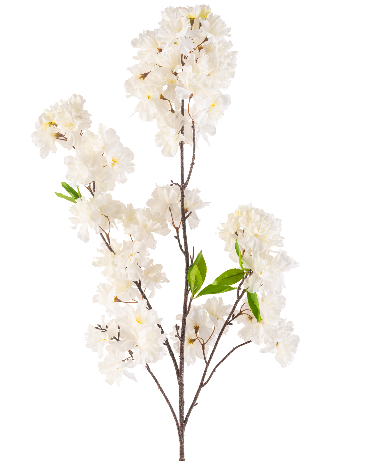 Une fleur de cerisier artificielle de 119 cm crème avec des grappes de fleurs blanches délicates et quelques feuilles vert vif sur de fines tiges brunes, isolées sur un fond blanc.