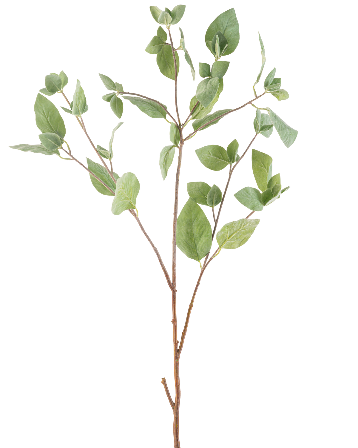 La Branche Artificielle Feuille de Menthe 97 cm verte possède plusieurs tiges fines avec des feuilles ovales vertes sur un fond blanc uni.