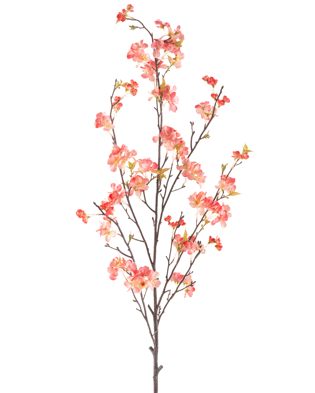 La Fleur de Cerisier Artificielle 150 cm pêche a une seule branche haute avec de multiples tiges fines, décorée de grappes de petites fleurs roses et rouges et de quelques feuilles vertes, sur un fond blanc uni.