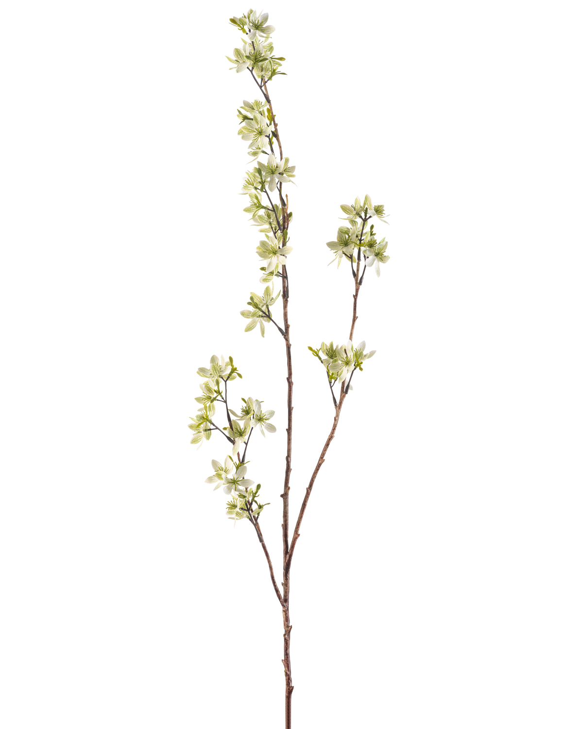 La Fleur Artificielle Flowers 102 cm verte possède une seule tige haute avec plusieurs pousses fines, décorées de bouquets de petites fleurs blanches et vert clair, sur un fond uni blanc.