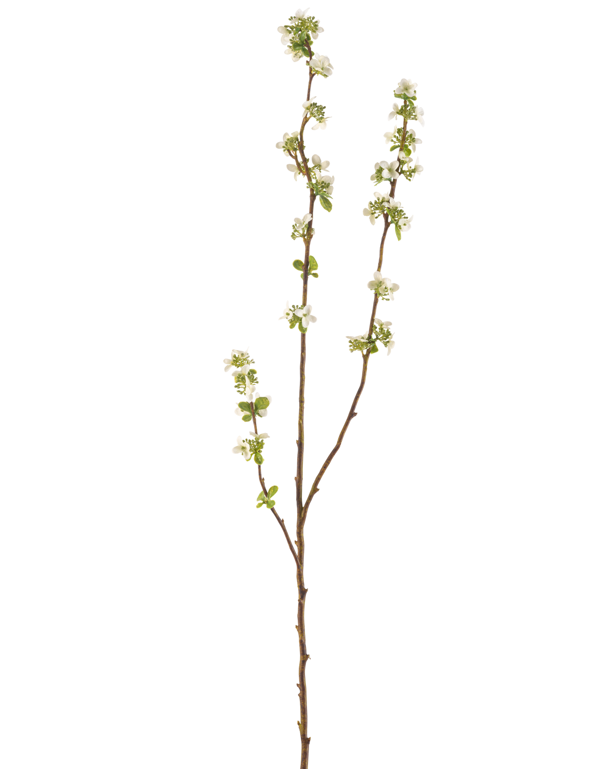 La Jardinière à Semences Branches Artificielles 104 cm crème possède une seule branche marron avec de petites feuilles vertes et des bouquets de petites fleurs blanches sur un fond uni blanc.