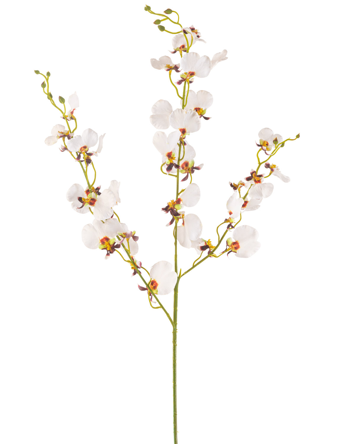 L'Orchidée Fleur Artificielle 98 cm crème est une unique tige d'orchidée crème artificielle avec de multiples fleurs délicates et de multiples bourgeons, avec des centres jaunes et violets, isolés sur un fond blanc uni.