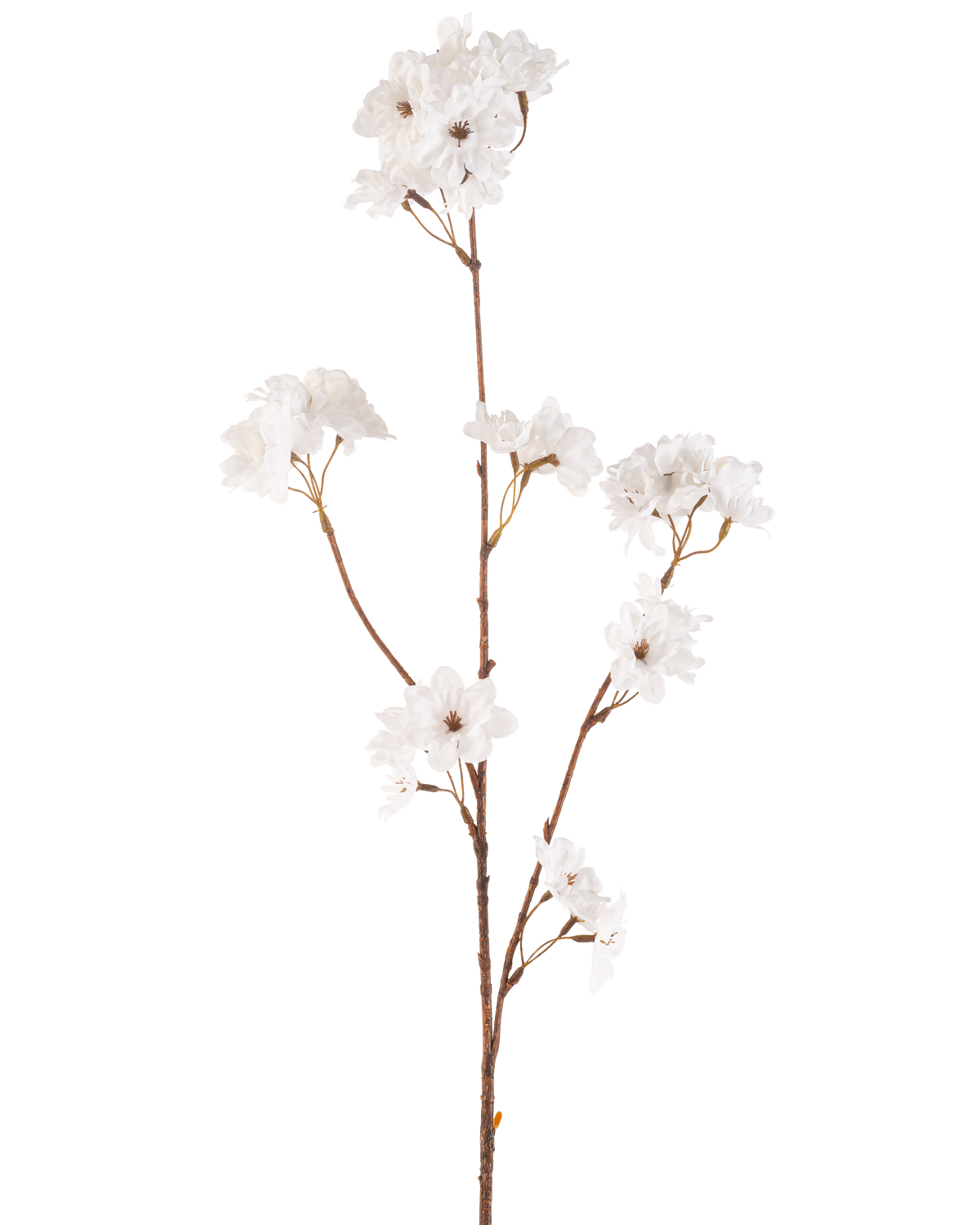 La Fleur de Cerisier Artificielle 85 cm crème a une fine tige marron avec de multiples branches contenant des bouquets de délicates fleurs de cerisier artificielles crème, le tout sur un fond blanc uni.