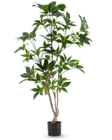 De Kunstplant Schefflera 150 cm heeft meerdere dunne houtachtige stengels met glanzend groene bladeren, in een eenvoudige zwarte pot en tegen een effen witte achtergrond.
