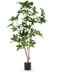Plante artificielle Schefflera 150 cm