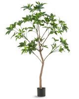 De Kunstplant Schefflera 180 cm is een hoge kunstboom met groene bladeren en een slanke bruine stam in een zwarte pot, afgebeeld tegen een effen witte achtergrond.