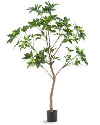 Plante artificielle Schefflera 180 cm