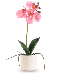 Orchidée artificielle Real Touch 30 cm rose