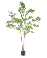 De Kunstplant Terminalia Catappa 150 cm is een hoge kunstboom met slanke bruine takken en groene bladeren in een eenvoudige zwarte pot, tegen een effen witte achtergrond.