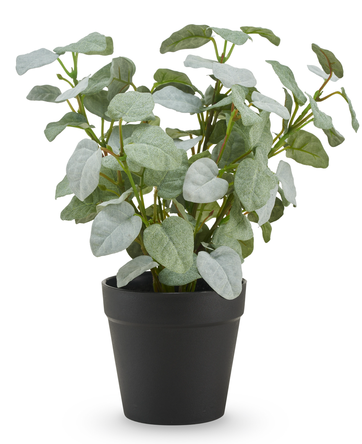 La Pumila artificielle "Silver" en pot UV 25 cm présente des feuilles artificielles vertes de forme ovale dans un simple pot en plastique noir, sur un fond uni blanc.