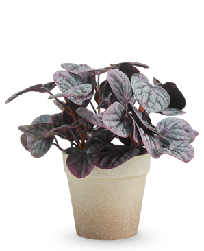 Plante artificielle feuille rugueuse 21 cm gris