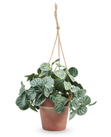 De Kunstplant Rugose blad 29 cm grijs in hangpot heeft ronde, gedessineerde groene bladeren en hangt in een pot aan een tan touw tegen een effen witte achtergrond.