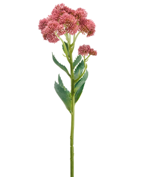 Een enkele stengel van de Kunstbloem Sedum 57 cm mauve is voorzien van trossen kleine, stervormige mauve bloemen en groene bladeren, afgebeeld tegen een witte achtergrond.