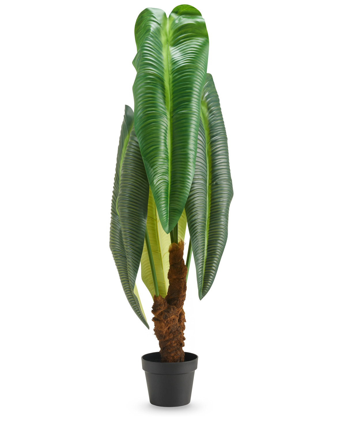 Une grande plante artificielle Anthurium de 120 cm avec de grandes feuilles vertes brillantes et une tige brune avec une structure, présentée dans un petit pot noir sur fond blanc.