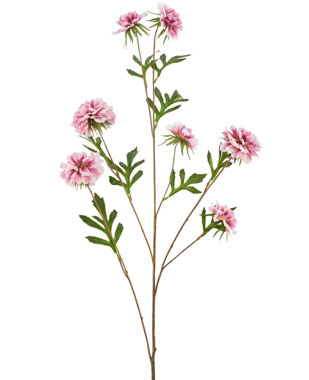 La fleur artificielle bleuet 112 cm rose a une longue tige avec des feuilles vertes et plusieurs fleurs roses duveteuses ressemblant à des dahlias sur un fond blanc.