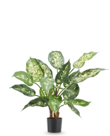 Plante artificielle Dieffenbachia 40 cm, plante artificielle ignifuge avec des feuilles vert vif et blanches dans un pot noir.
