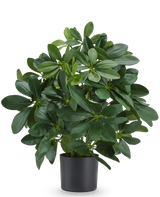 Plante artificielle Baby Schefflera 45 cm, ignifuge, avec des feuilles vertes brillantes dans un pot noir.