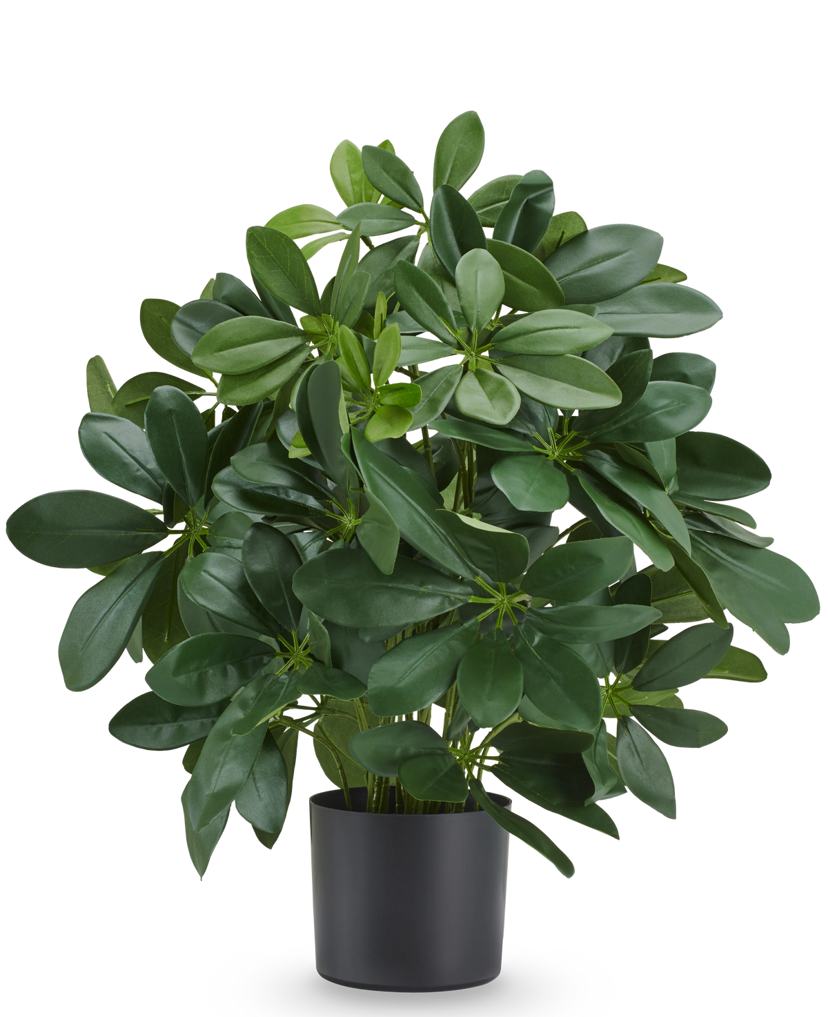 Plante artificielle Baby Schefflera 45 cm, ignifuge, avec des feuilles vertes brillantes dans un pot noir.