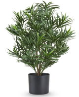 Plante artificielle Podocarpus 47 cm, ignifuge, avec de fines feuilles vertes dans un pot noir.