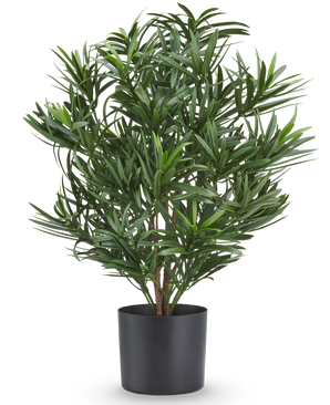Plante artificielle Podocarpus 47 cm, ignifuge, avec de fines feuilles vertes dans un pot noir.