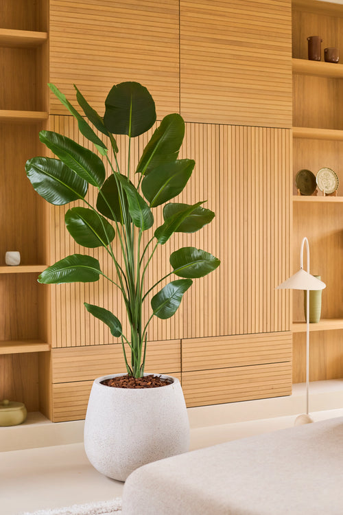 Une plante Strelitzia artificielle de 210 cm d'aspect réaliste, dans un pot blanc, trône devant des étagères et des placards intégrés en bois clair dans un espace de vie moderne et minimaliste. Cette plante artificielle élégante et facile d'entretien donne à la pièce un aspect réaliste et facile d'entretien.