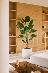 Plante artificielle Strelitzia 210 cm real touch