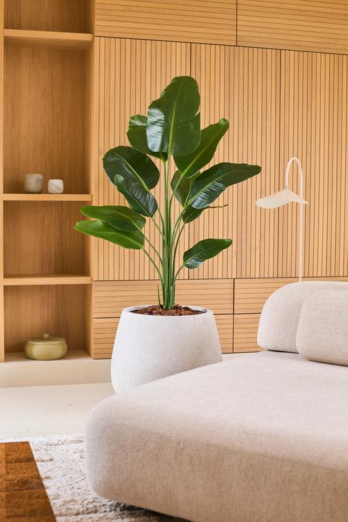 Une plante Strelitzia artificielle de 150 cm real touch2 avec des feuilles réalistes se trouve à côté d'un canapé beige moderne dans une pièce avec des boiseries en bois et des étagères intégrées décorées de décorations minimalistes.
