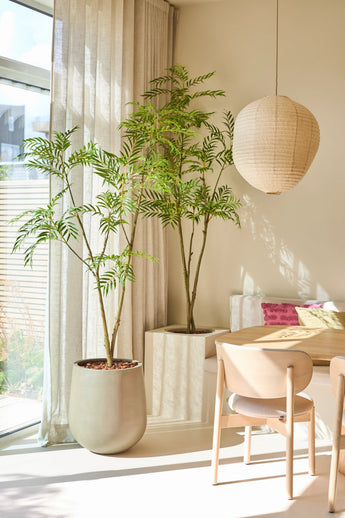 Een lichte kamer met de Kunstplant Mahonia 150 cm, gecombineerd met lichte houten meubels, een ronde papieren lantaarn, doorschijnende gordijnen en zonlicht dat door het raam naar binnen stroomt.