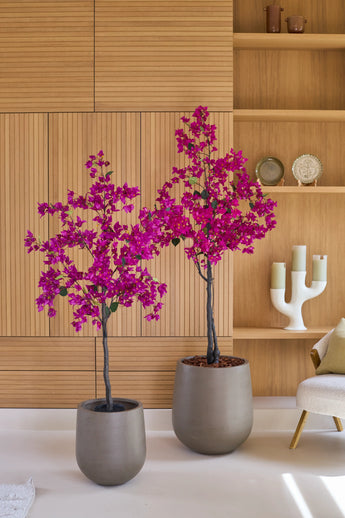 Deux bougainvilliers artificiels de 150 cm violets, aux fleurs roses et violettes éclatantes, se dressent devant un mur en bois avec des étagères sur lesquelles sont exposés des objets décoratifs, à côté d'une chaise de couleur claire. Leur aspect réaliste de plante d’intérieur donne à la pièce une touche vivante et charmante.