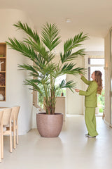 Een persoon in een groen pak staat binnenshuis en raakt zachtjes de lange bladeren aan van een Kunstplant Kentia-palm van 270 cm, die naast een eethoek met lichte houten stoelen staat.