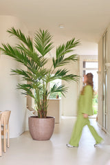 Een kunstplant, een Kentia-palm van 270 cm, staat in een lichte hal terwijl iemand in een groene outfit voorbijloopt; door de beweging lijkt deze persoon enigszins wazig.